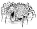 Thumbnail for version as of 12:26, 28 March 2026