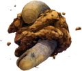 Thumbnail for version as of 12:26, 28 March 2026