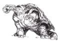 Thumbnail for version as of 12:26, 28 March 2026