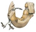 Thumbnail for version as of 12:27, 28 March 2026