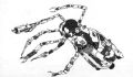 Thumbnail for version as of 12:27, 28 March 2026