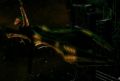 Thumbnail for version as of 12:26, 28 March 2026